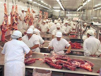 Las estadísticas del sector revelan escenarios opuestos en la Patagonia Norte: Neuquén profundiza la retracción de la actividad frigorífica, mientras Río Negro sostiene los volúmenes de faena pese a un contexto de desaceleración. Las estadísticas del sector revelan escenarios opuestos en la Patagonia Norte: Neuquén profundiza la retracción de la actividad frigorífica, mientras Río Negro sostiene los volúmenes de faena pese a un contexto de desaceleración.