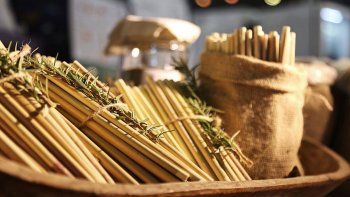 buscan terminar con los sorbetes plasticos con un diseno autoctono buscan terminar con los sorbetes plasticos con un diseno autoctono