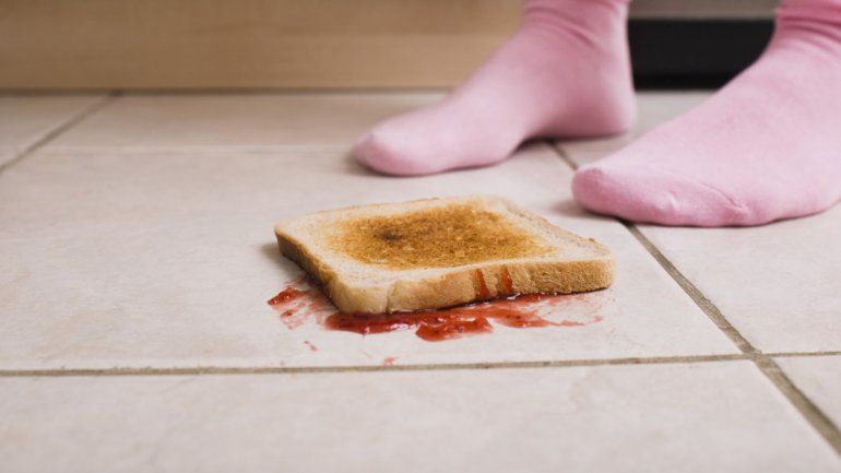 Los resultados fueron publicados en una revista especializada. Los alimentos que tienen más humedad son los que más rápido se contaminan en el piso.