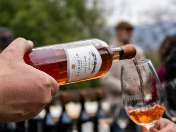 Río Negro celebra el enoturismo: 12 bodegas abren tranqueras para visitas, degustaciones y aprender del vino desde adentro. Río Negro celebra el enoturismo: 12 bodegas abren tranqueras para visitas, degustaciones y aprender del vino desde adentro.