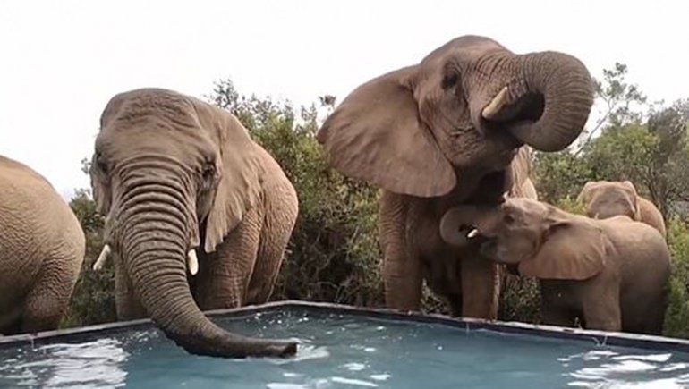 El clip no para de sumar reproducciones en YouTube