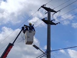 Los empresarios de la fruta mandaronun duro mensaje a la empresa EDERSA. Los empresarios de la fruta mandaronun duro mensaje a la empresa EDERSA.