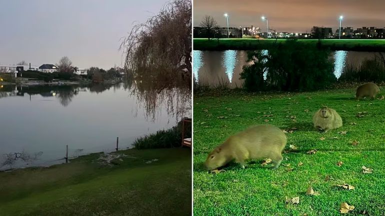 Las fotos de la casa de Wanda Nara Las fotos de la casa de Wanda Nara