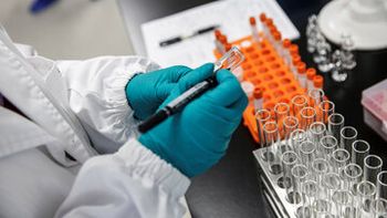 dias clave: que pasa en neuquen con la ola nacional de covid-19 dias clave: que pasa en neuquen con la ola nacional de covid-19