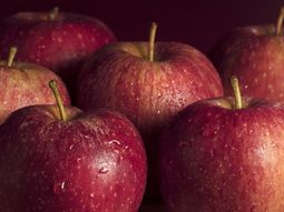 Paradoja: mientras la inflación se desacelera, el precio de la manzana crece más rápido: cuesta más en pesos, pero vale menos en moneda extranjera. Paradoja: mientras la inflación se desacelera, el precio de la manzana crece más rápido: cuesta más en pesos, pero vale menos en moneda extranjera.