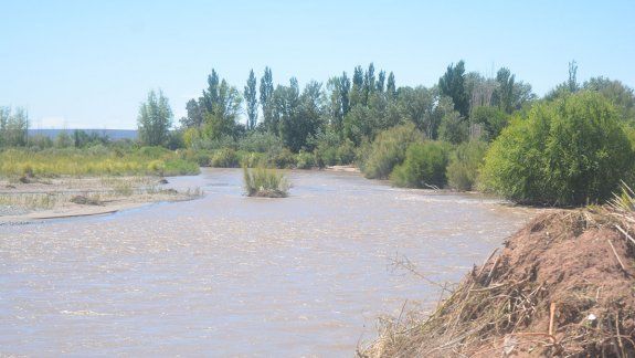 Milagroso rescate de dos niños en el Río Colorado en Rincón