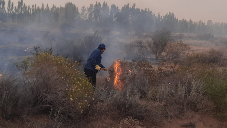 Dura tarea de bomberos: fuego y viento se combinaron en Senillosa