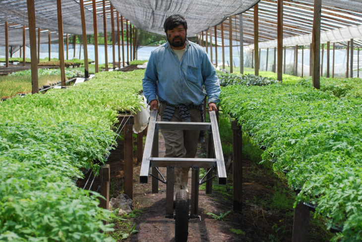 Las economías regionales, en alerta por la falta de mano de obra rural. Foto: INTA Las economías regionales, en alerta por la falta de mano de obra rural. Foto: INTA