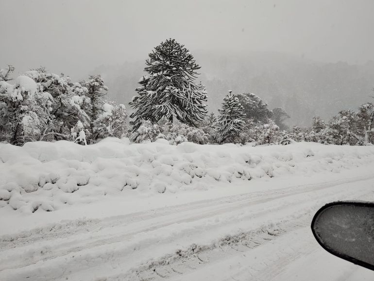 Alerta por nieve en la cordillera. Foto: Gentileza. 