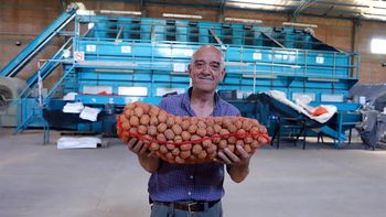 Raúl Cuello, encargado de Patagonia Nogales, lidera operativamente una chacra de 120 hectáreas de nueces en plena zona semiárida, enfrentando vientos constantes, escasez de agua y altos costos energéticos. | LM Neuquen Raúl Cuello, encargado de Patagonia Nogales, lidera operativamente una chacra de 120 hectáreas de nueces en plena zona semiárida, enfrentando vientos constantes, escasez de agua y altos costos energéticos.