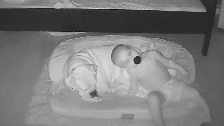 Bebé se volvió viral en YouTube por dormir con su perrito