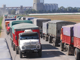 La liquidación de cereales levanta banderas de alerta. La liquidación de cereales levanta banderas de alerta.