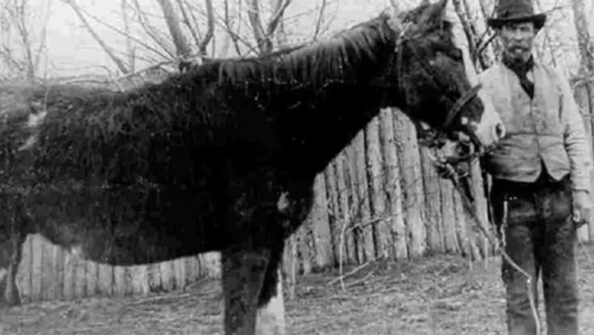 El legendario caballo Malacara y John Evans, colono galés de Trevelin, en Chubut.&nbsp;