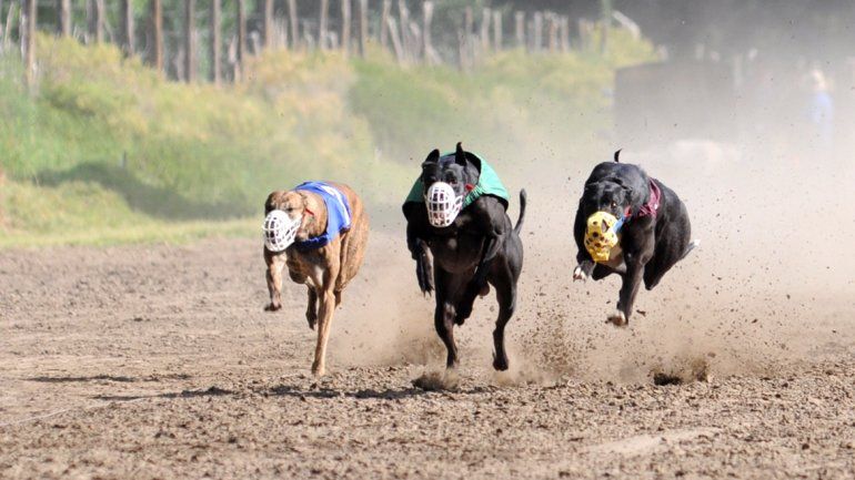 Iniciativa local que se extendió por todo el país