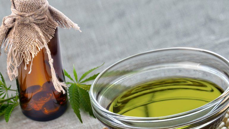 Algunos pacientes alivian sus dolencias con aceite de marihuana.