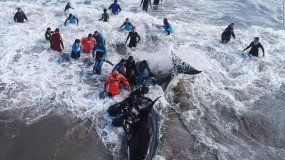 El domingo, en Mar del Plata, dos fueron salvadas por personal especial.