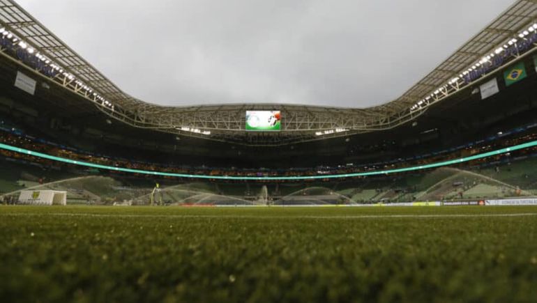 Los detalles del césped del estadio del Palmeiras.