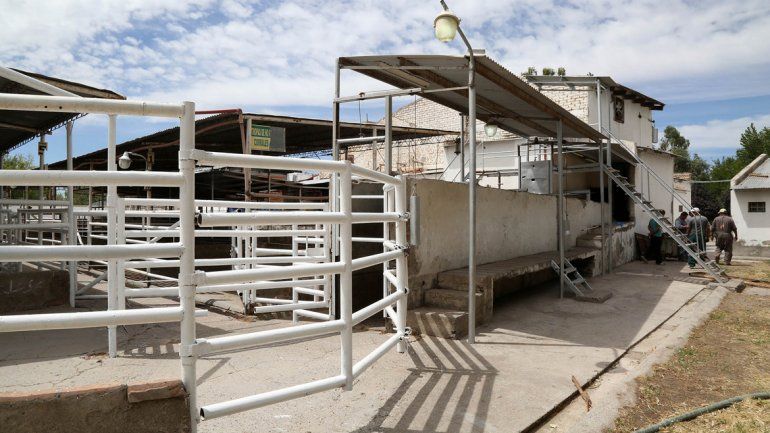 Corrales listos. El Municipio quiere tener todo listo para iniciar la faena.