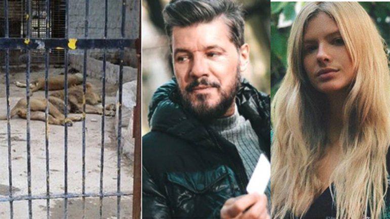 Famosos desesperados por el abandono de los animales en el Zoo de Santiago del Estero: Los están dejando morir!