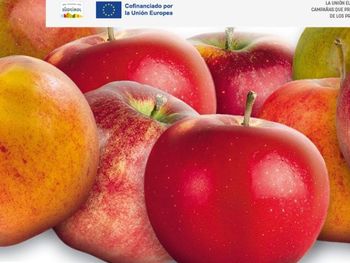 Las tendencias de consumo de manzana en la UE son positivas, apuntaladas por las nuevas variedades.