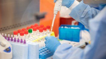 la ciudad sumo 11 casos activos y una victima fatal la ciudad sumo 11 casos activos y una victima fatal