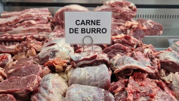 Pese al éxito de ventas en Trelew, el Código Alimentario prohíbe el consumo de carne de burro. | LM Neuquen Pese al éxito de ventas en Trelew, el Código Alimentario prohíbe el consumo de carne de burro.