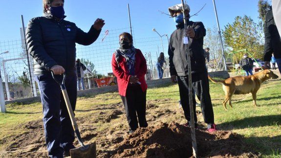 Ya se planaron más de 1600 árboles y la idea es terminar antes de la primavera.