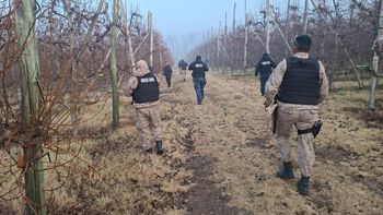 Policías de distintas unidades participaron en el procedimiento donde encontraron restos de animales faenados. | LM Neuquen Policías de distintas unidades participaron en el procedimiento donde encontraron restos de animales faenados.