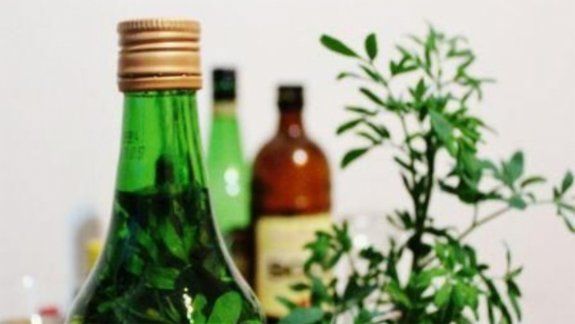 Empieza agosto: ¿por qué hay que tomar caña con ruda?