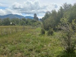 Sigue el escándalo por la venta ilegal de tierras en Pulmarí Sigue el escándalo por la venta ilegal de tierras en Pulmarí