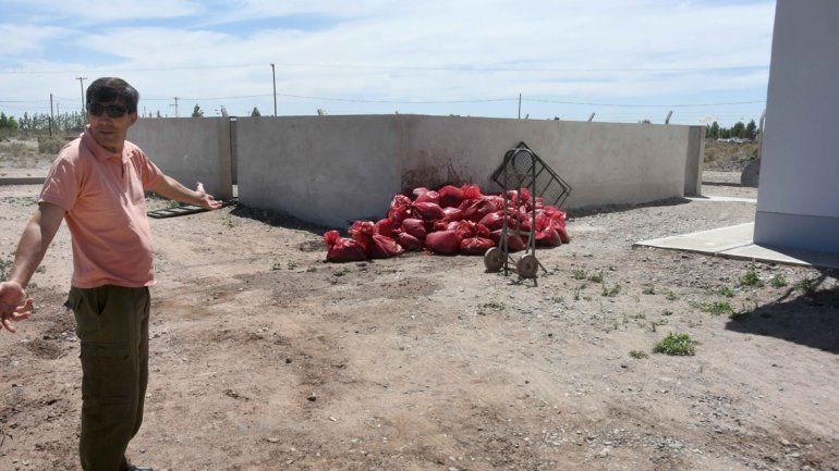 Alegría fue muy claro: Si faenamos un chancho acá