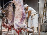 La oferta de carne se mantiene sostenida, pero no hay reacción de la demanda (externa e interna) lo que impacta en los precios de la hacienda.