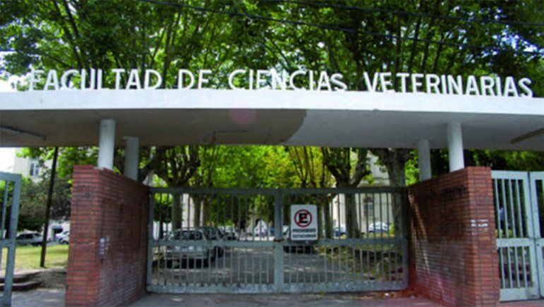 Facultad de Veterinaria testea a mascotas de pacientes con Covid