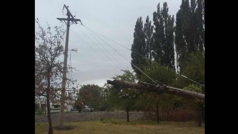 Por la caída de un árbol, se quedó sin luz Costa Nogal, Talzauber y Las Perlas