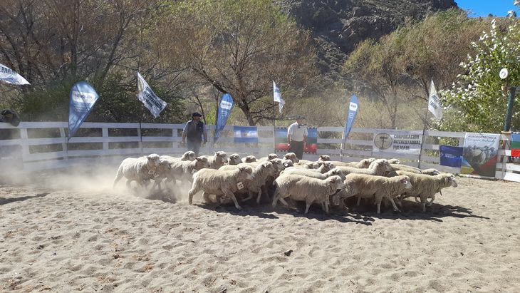 En 2022, se ofrecieron diferentes líneas de financiamiento y fueron distribuidos 17 millones de pesos. Foto: gentileza subsecretaría de Producción. En 2022, se ofrecieron diferentes líneas de financiamiento y fueron distribuidos 17 millones de pesos. Foto: gentileza subsecretaría de Producción.