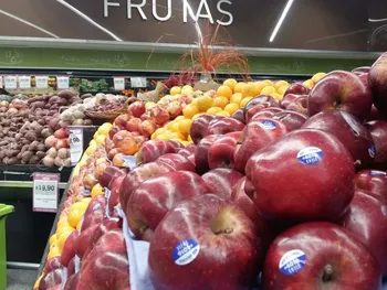 Solo la fruta de calidad es la que el consumidor termina por covalidar con altos precios. 