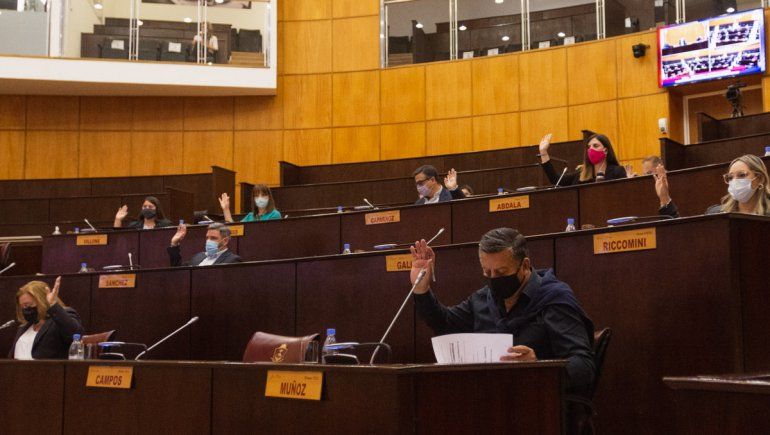 Neuquén a favor del fomento de la lactancia materna