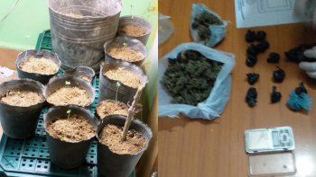 fueron por el robo de una playstation y hallaron marihuana fueron por el robo de una playstation y hallaron marihuana