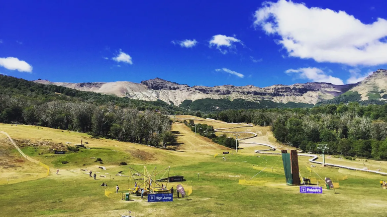 Investigan una tala de árboles centenarios en cerro Chapelco / Foto Archivo