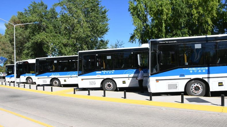 Una línea del COLE se ve afectada por la obra de la avenida Mosconi. | LM Neuquen Una línea del COLE se ve afectada por la obra de la avenida Mosconi.