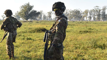 los ejercitos de argentina y brasil se unieron en el ejercicio arandu los ejercitos de argentina y brasil se unieron en el ejercicio arandu