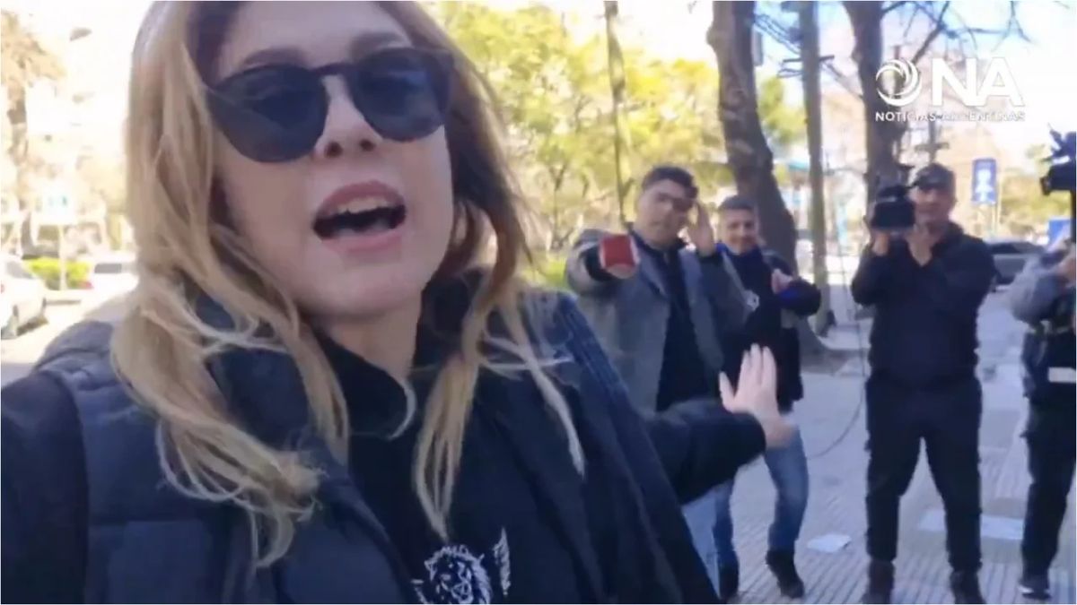 Escupieron a Lilia Lemoine en Rosario.