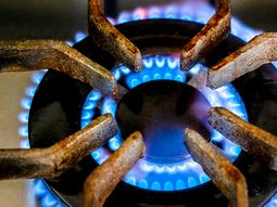 El gobierno dio inicio al proceso para pasar de un régimen de subsidios generalizados a uno focalizado. El gobierno dio inicio al proceso para pasar de un régimen de subsidios generalizados a uno focalizado.