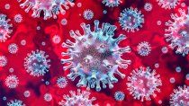 segun cientificos, el coronavirus durara decadas aun con vacuna segun cientificos, el coronavirus durara decadas aun con vacuna
