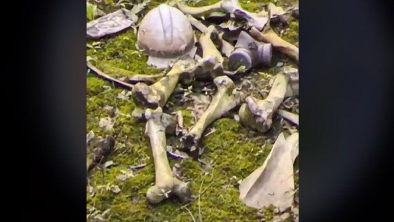 El hallazgo en Google Maps es viral en TikTok