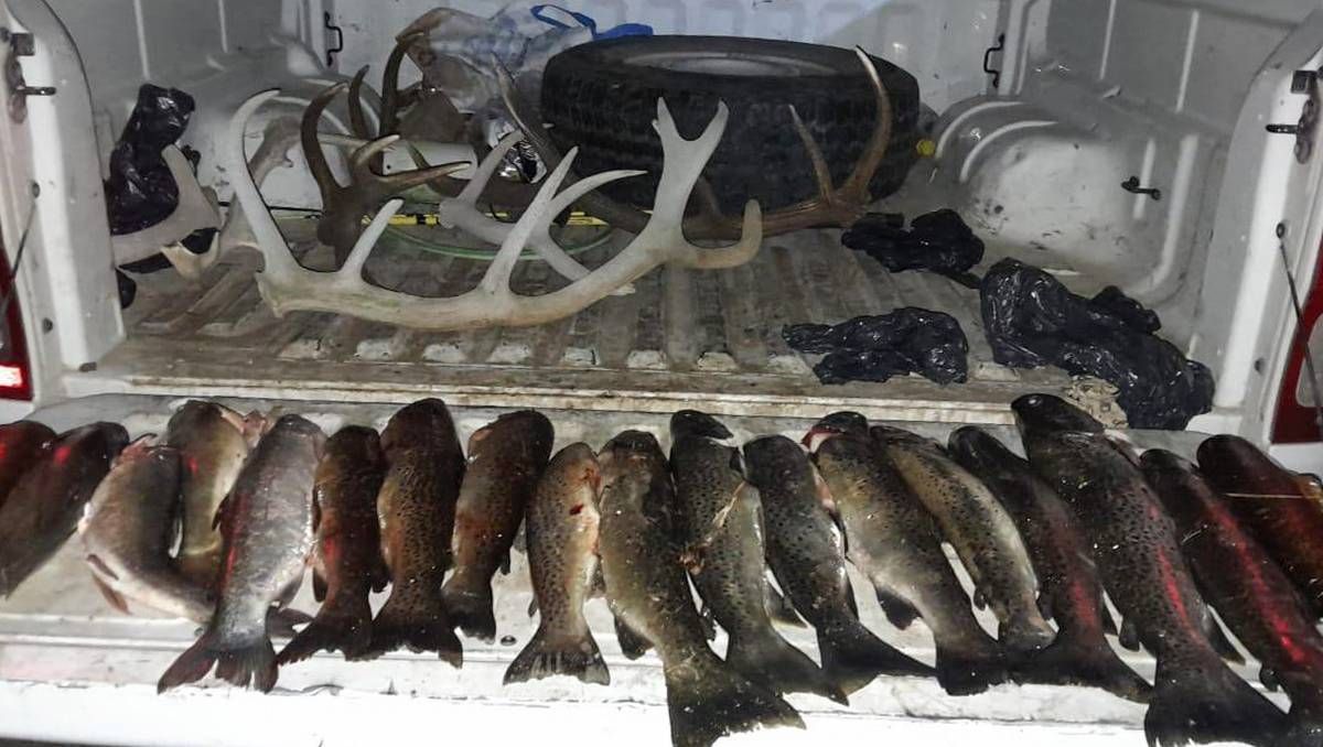 Siguen los secuestros por caza y pesca furtiva en Neuquén
