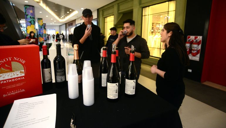 Bodega Familia Schroeder festeja el mes del Pinot Noir en el Alto Comahue
