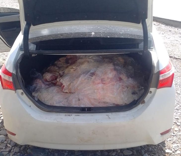 El auto interceptado en el dique Ballester que quería ingresar carne de contrabando. El auto interceptado en el dique Ballester que quería ingresar carne de contrabando.