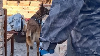 Una veintena de allanamientos se realizaron en simultaneo esta mañana. Foto gentileza MPF. Una veintena de allanamientos se realizaron en simultaneo esta mañana. Foto gentileza MPF.