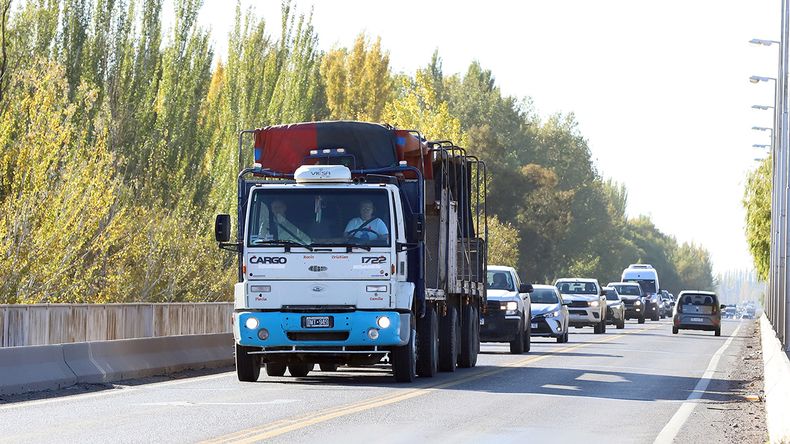 Cuáles son los cambios que ya rigen para sacar las licencias de conducir profesional | LM Neuquen Cuáles son los cambios que ya rigen para sacar las licencias de conducir profesional